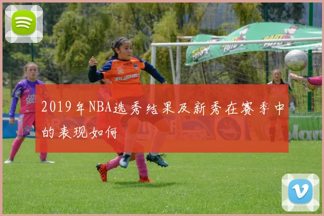 2019年NBA选秀结果及新秀在赛季中的表现如何