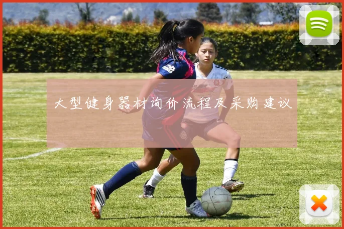 大型健身器材询价流程及采购建议