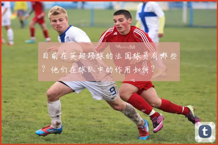 目前在英超踢球的法国球员有哪些？他们在球队中的作用如何？