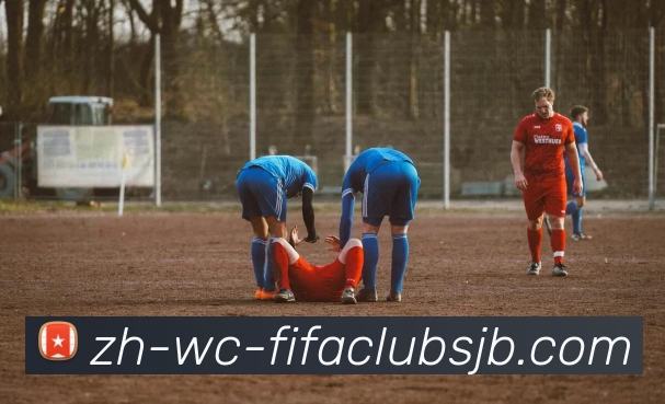 世界杯赛程平台生态图